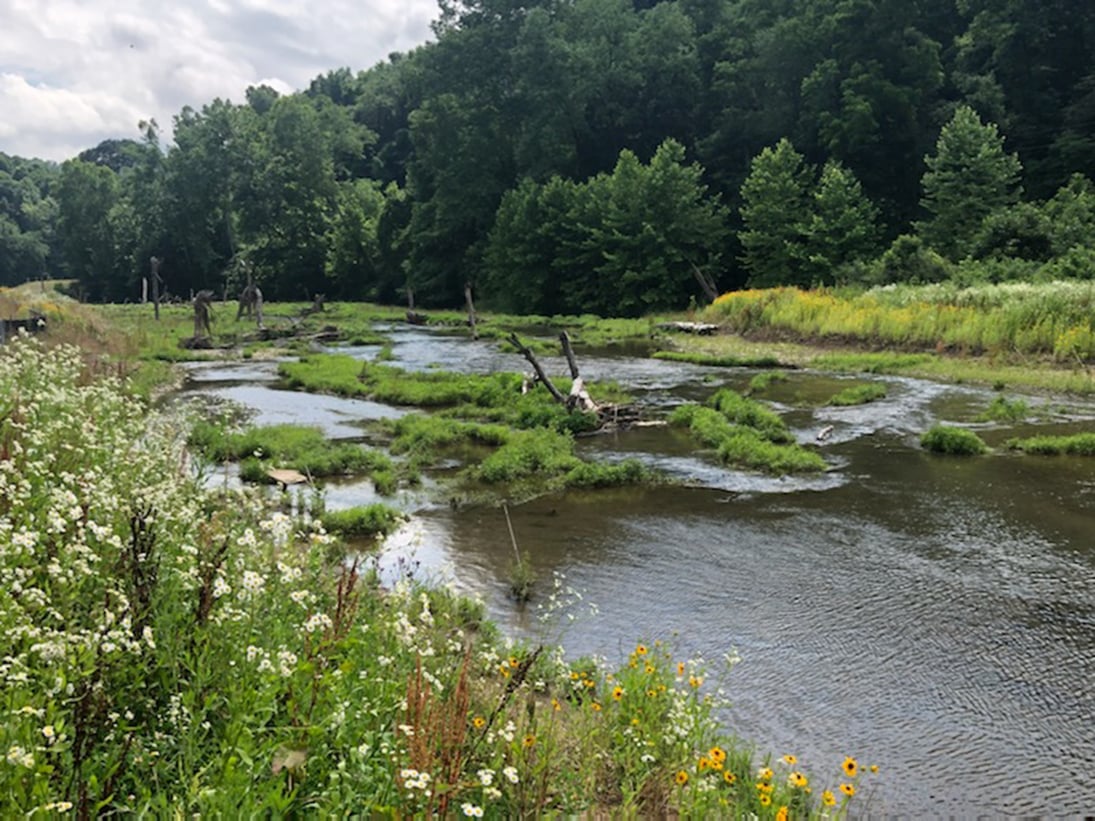 Robinson Fork Mitigation Bank