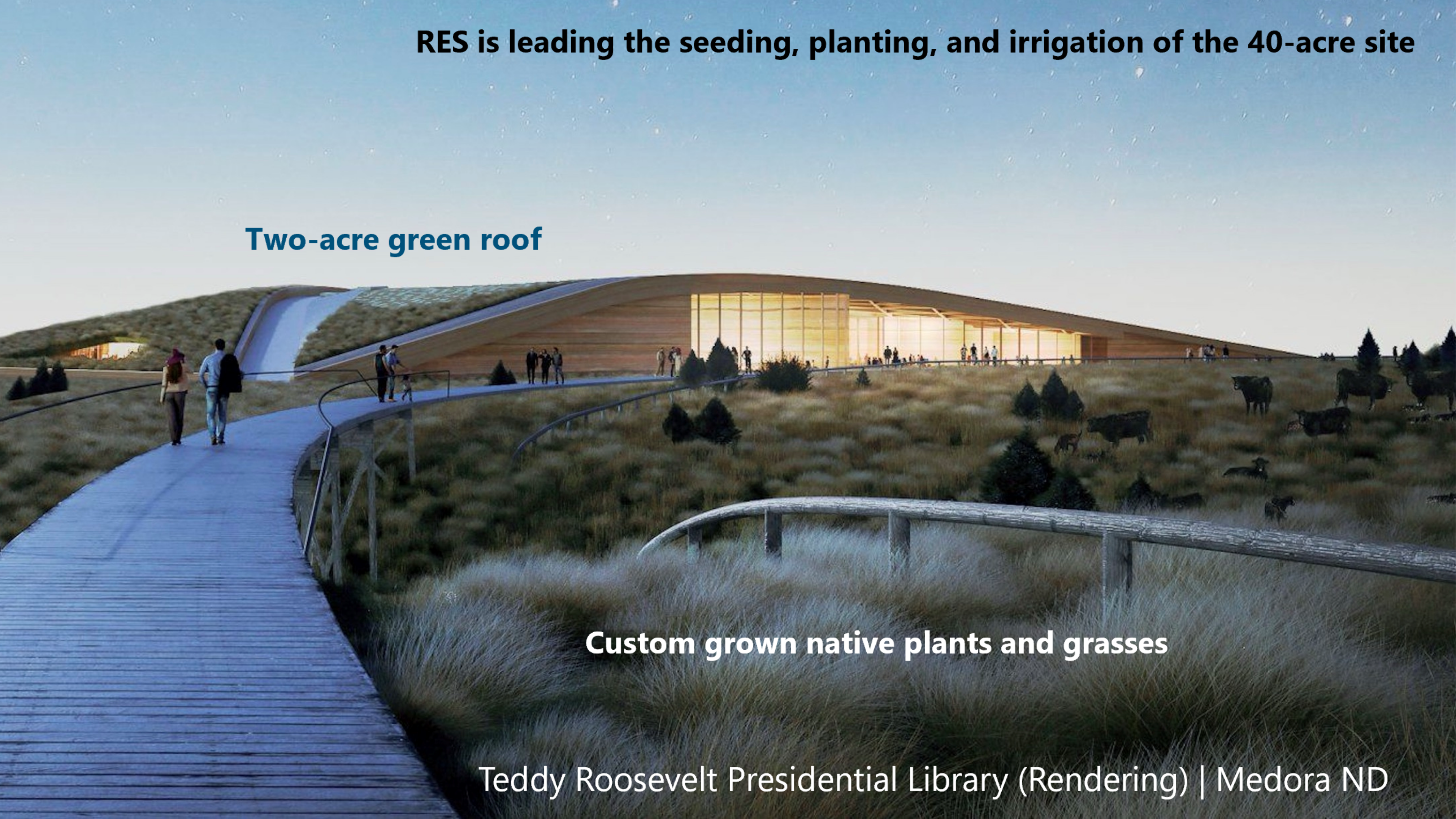 Teddy Roosevelt Library_RC
