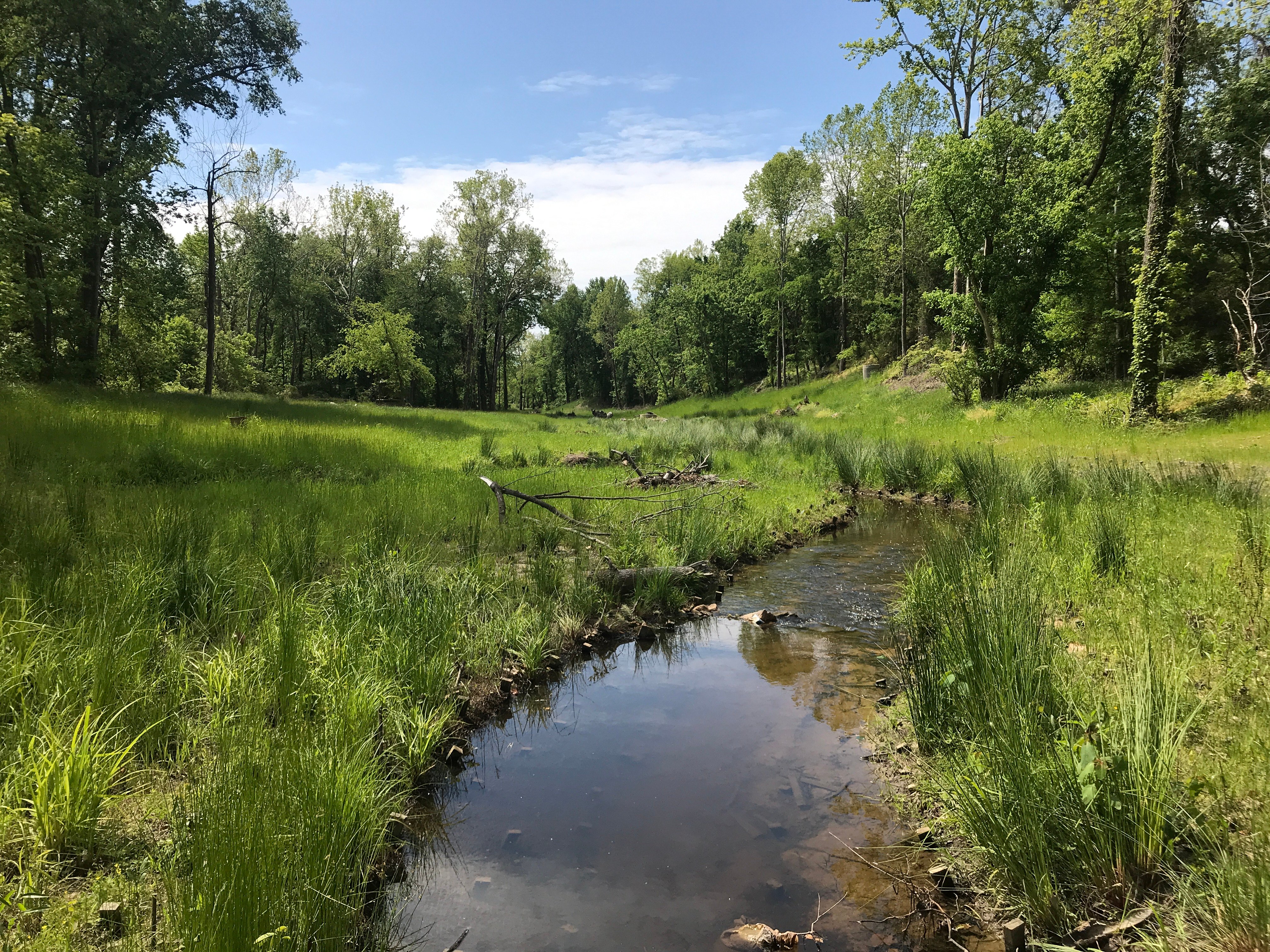 VA Stream Restoration_UofR